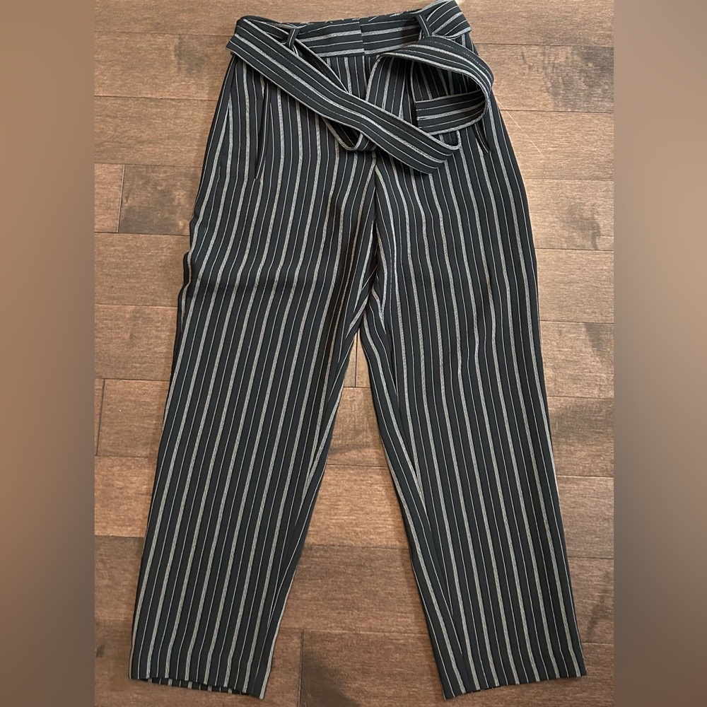 Aritzia Wilfred Tie Front Dress Pants